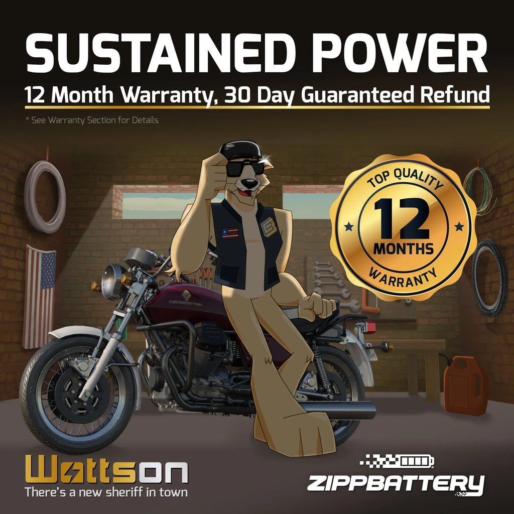 Zipp Battery Ytx14Ahl-Bs High Performance Power Sports Battery - Perfect for your project