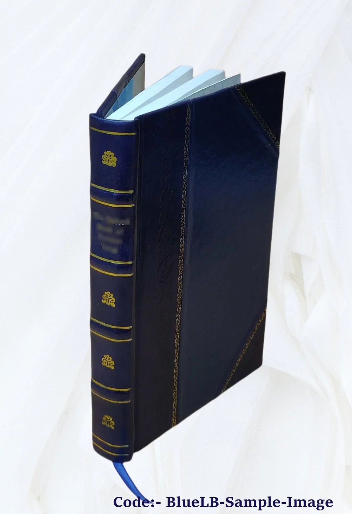 Top-quality The brazen mask : a romance / by Charlotte Putney. Volume v.2 1826 [Leather Bound]