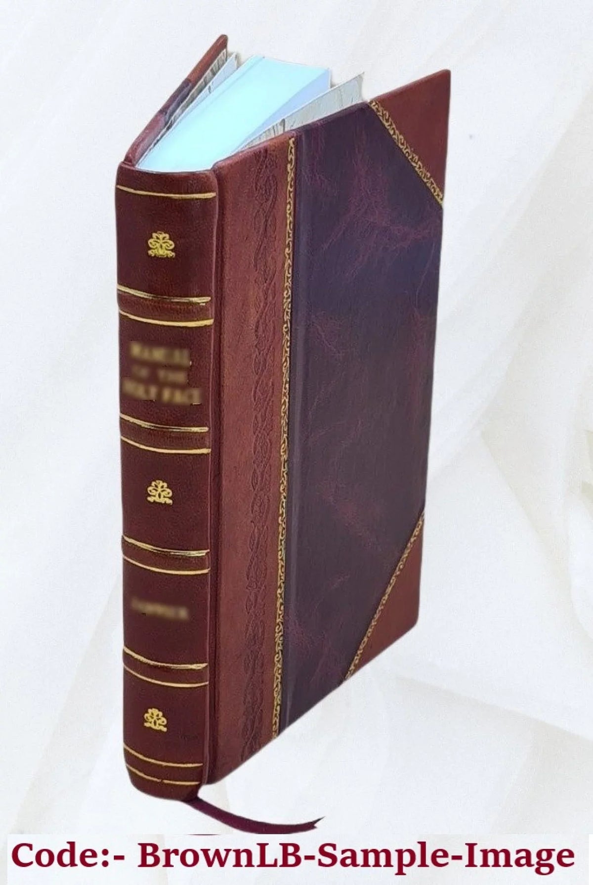 Master-spirits, by Robert Buchanan. 1874 [Leather Bound] - Perfect for your project