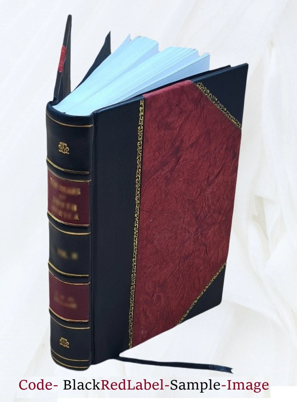 Top-quality The brazen mask : a romance / by Charlotte Putney. Volume v.2 1826 [Leather Bound]