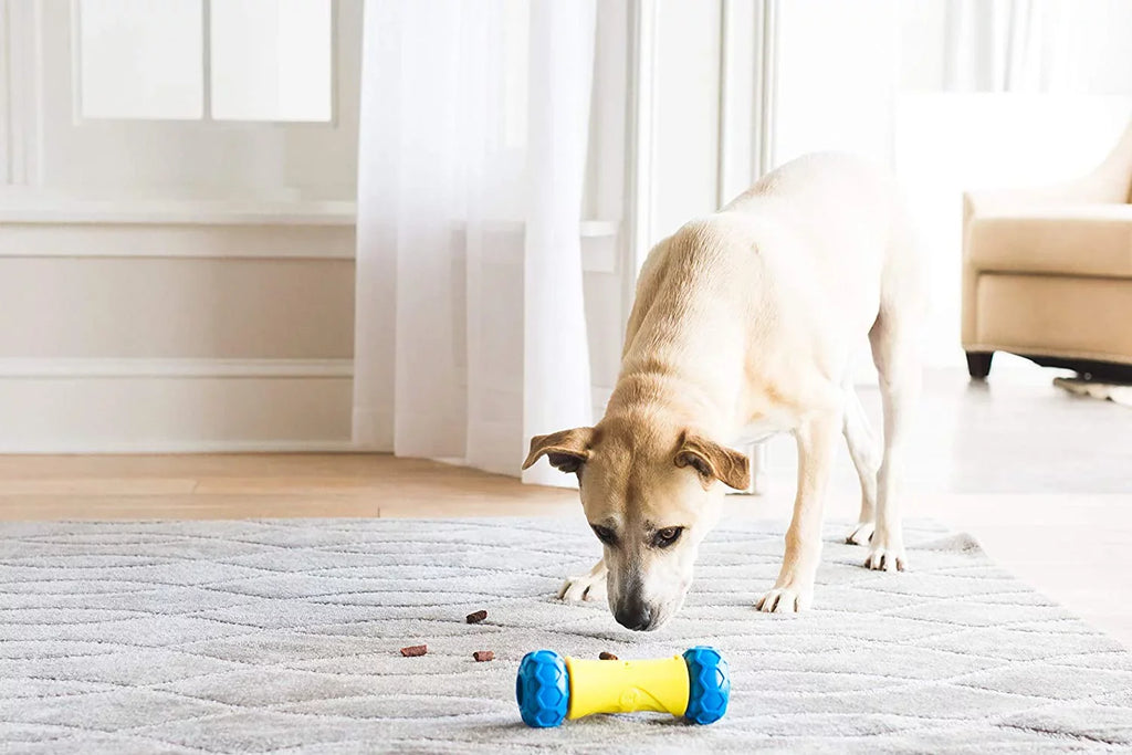 JW Robo Bone Auto Rolling Dog Treat Toy - Perfect for your project