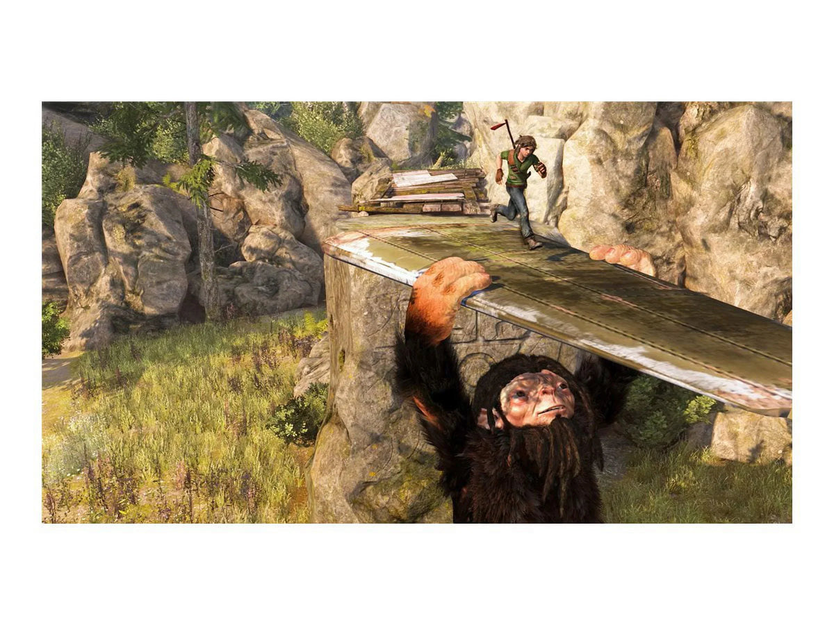 Reliable Troll Solutions